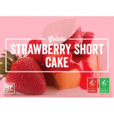 Sugar Creek Reduced Fat Strawberry Shortcake Gelato 4/1 Gallon